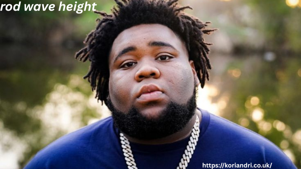 rod wave height